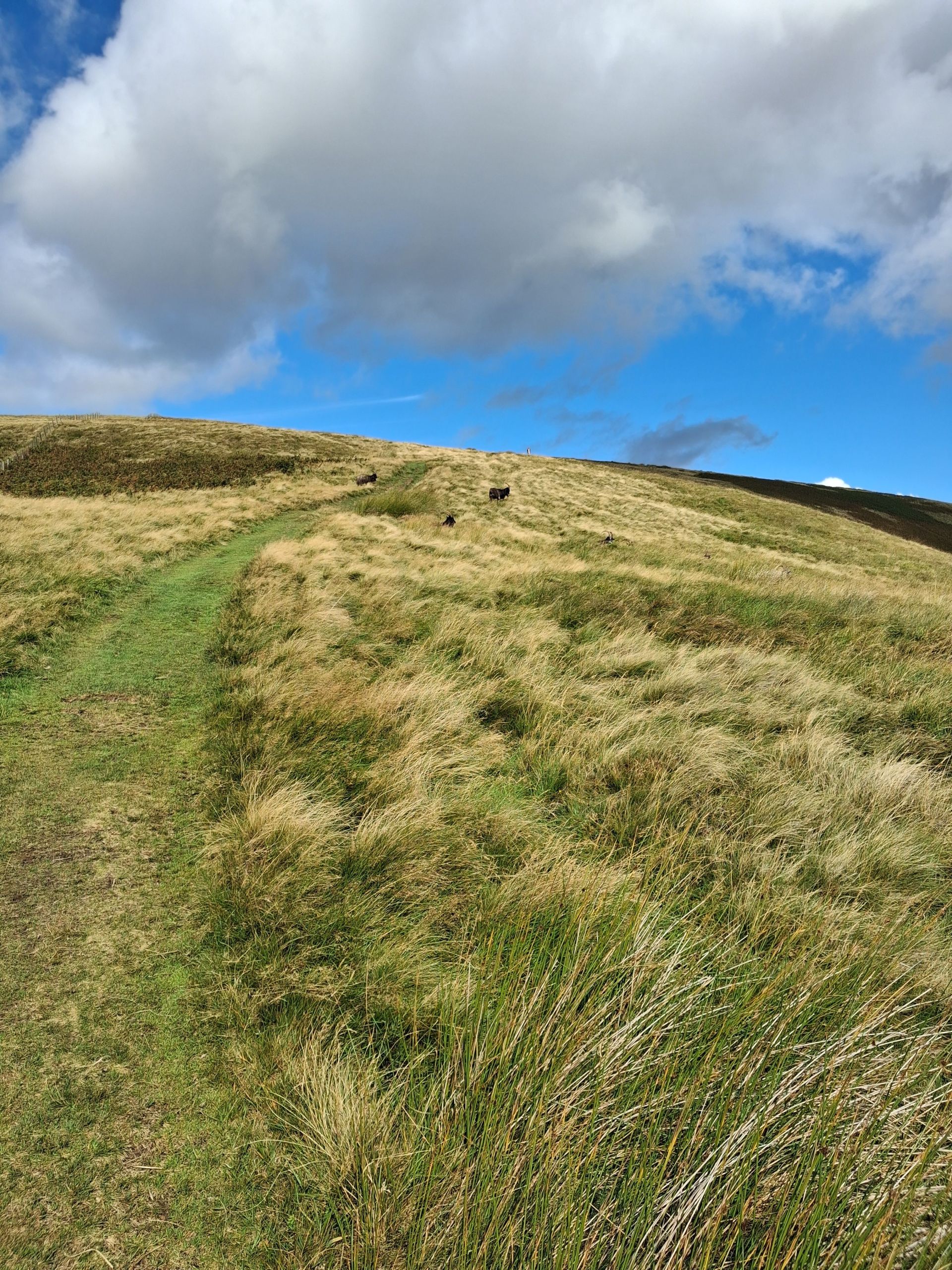path